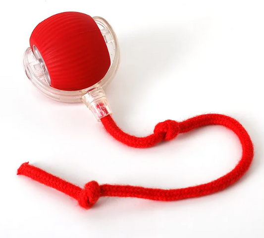 PurrPlay Self-Rolling Cat Toy Ball – Interactive, Motion-Activated Fun