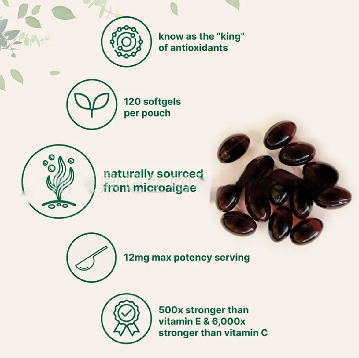 Astaxanthin Soft Capsules – 120 Capsules | Antioxidant & Liver Support
