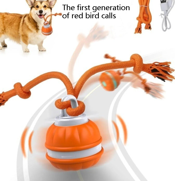 Interactive USB Rechargeable Rolling Ball Toy for Dogs & Puppies