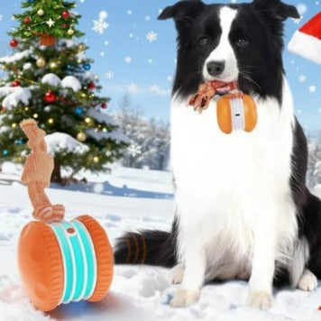 Interactive USB Rechargeable Rolling Ball Toy for Dogs & Puppies