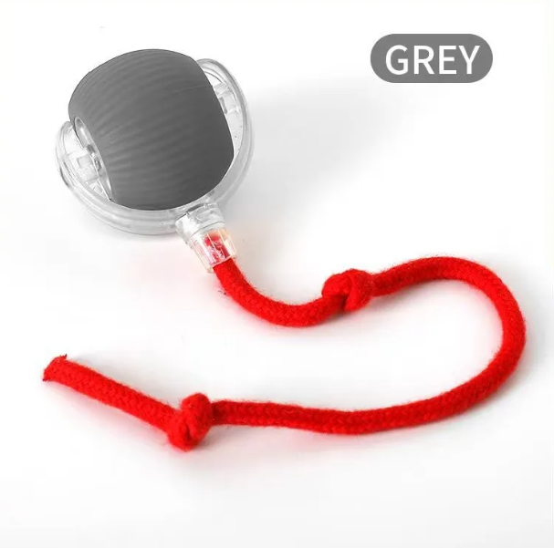 PurrPlay Self-Rolling Cat Toy Ball – Interactive, Motion-Activated Fun