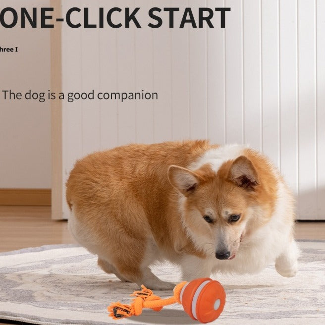 Interactive USB Rechargeable Rolling Ball Toy for Dogs & Puppies